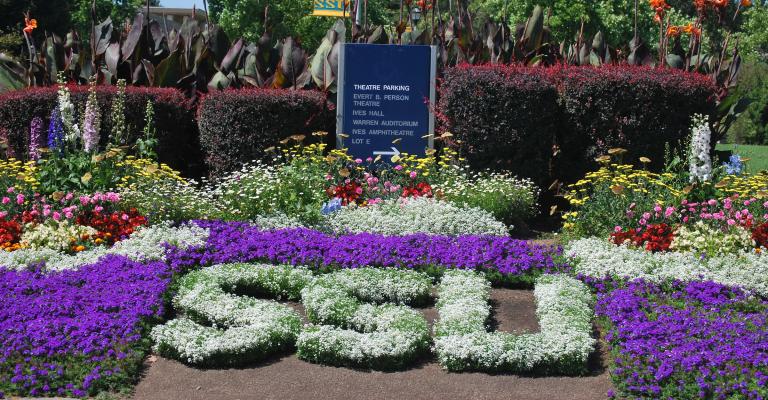 SSU flowers