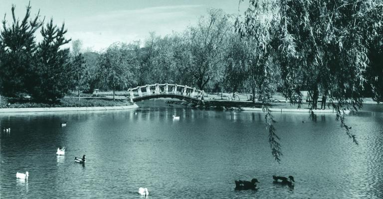 lake and bridge