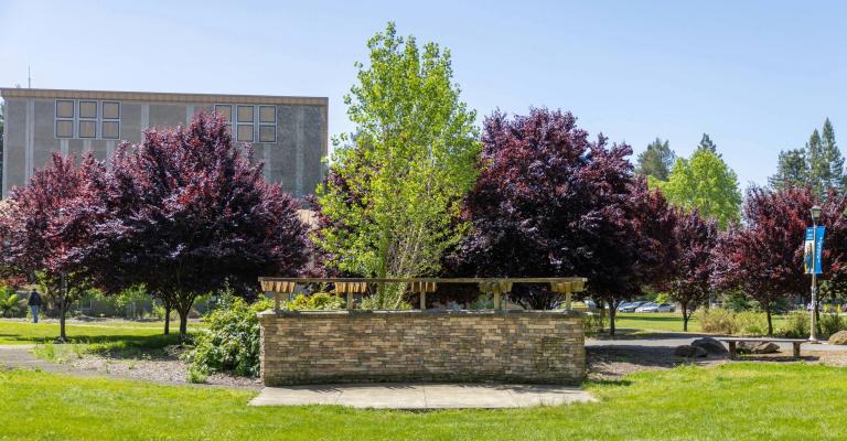 landscape near Ives Hall